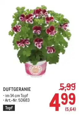 Metro DUFTGERANIE Angebot