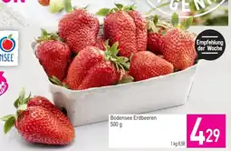 Sutterlüty Bodensee erdbeeren Angebot