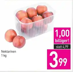 Sutterlüty Nektarinen Angebot