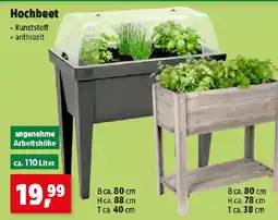 Thomas Philipps Hochbeet Angebot
