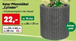 Thomas Philipps Keter pflanzkübel cylinder Angebot
