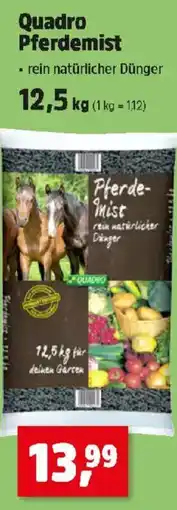 Thomas Philipps Quadro pferdemist Angebot