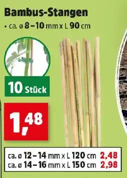 Thomas Philipps Bambus-stangen Angebot