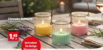 Thomas Philipps Citronella-Duftkerze Angebot