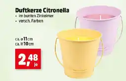 Thomas Philipps Duftkerze Citronella Angebot