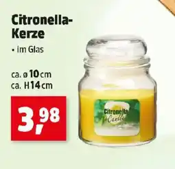Thomas Philipps Citronella- kerze Angebot