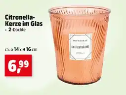 Thomas Philipps Citronella- Kerze im Glas Angebot