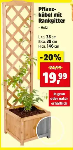 Thomas Philipps Pflanz- kübel mit rankgitter Angebot