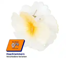 Action Haarklammern Verschiedene Varianten Angebot
