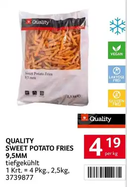 Transgourmet Quality sweet potato fries 9,5mm Angebot