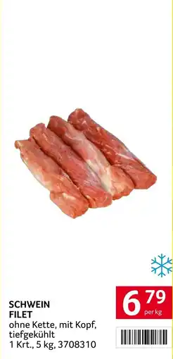 Transgourmet Schwein filet Angebot