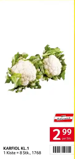 Transgourmet Karfiol kl.1 Angebot