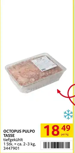 Transgourmet Octopus pulpo tasse Angebot