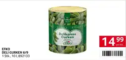 Transgourmet Efko deli gurken 6/9 Angebot