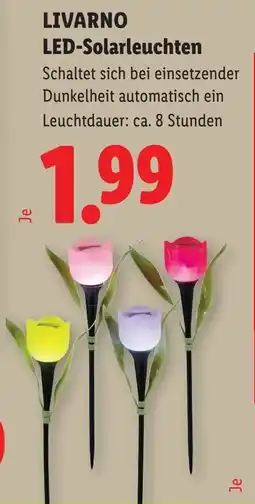 Lidl Livarno led solarleuchten Angebot