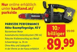 Lidl Parkside performance akku baumpflegesäge 40 v Angebot