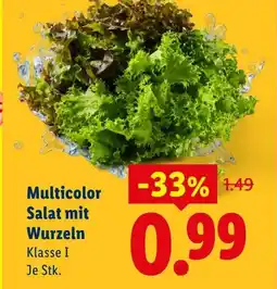 Lidl Multicolor Salat mit Wurzeln Angebot
