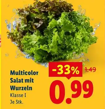 Lidl Multicolor Salat mit Wurzeln Angebot