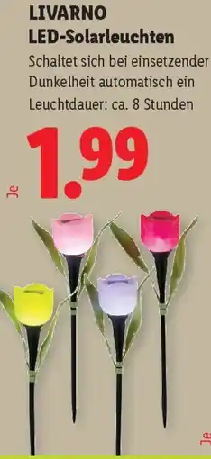 Lidl Livarno led-solarleuchten Angebot