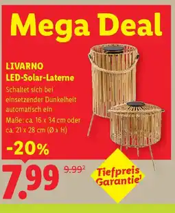 Lidl Livarno led-solar-laterne Angebot