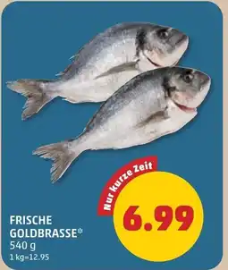 PENNY Frische goldbrasse Angebot