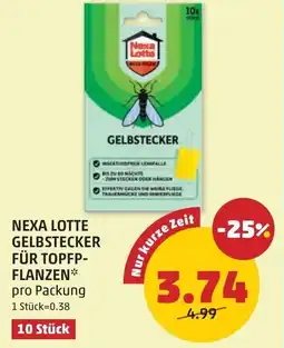 PENNY Nexa lotte gelbstecker für topfp- flanzen Angebot