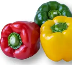 MPreis M Paprika Tricolore Angebot