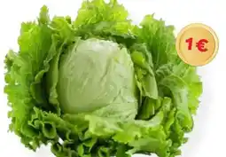 MPreis Romanischer Salat Angebot