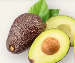 MPreis Riesen-Avocado Angebot