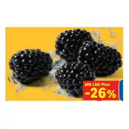 Lidl Brombeeren Lidl APP Preis Angebot