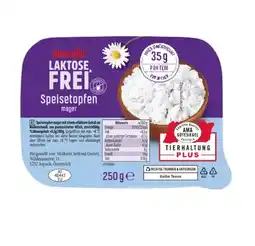 Lidl Laktosefreier Speisetopfen mager Lidl Angebot