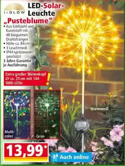 Norma Led-solar-leuchte pusteblume Angebot