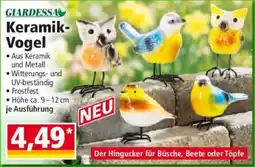 Norma Giardessa keramik- vogel Angebot
