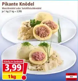 Norma Pikante knödel Angebot