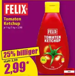 Norma Tomaten Ketchup Angebot