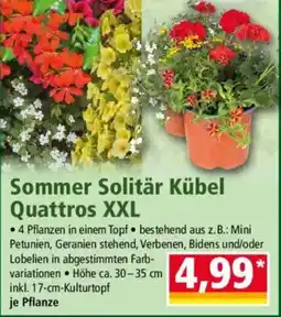 Norma Sommer Solitär Kübel Quattros XXL Angebot