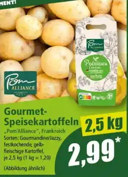 Norma Gourmet- Speisekartoffeln Angebot