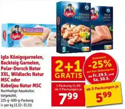 Interspar Iglo Königsgarnelen, Backteig Garnelen, Polar-Dorsch Natur XXL, Wildlachs Natur MSC oder Kabeljau Natur MSC Angebot