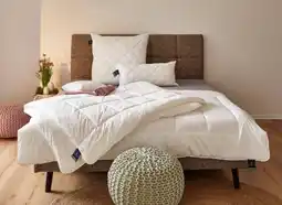 XXXLutz Billerbeck Weißware Alcando Angebot