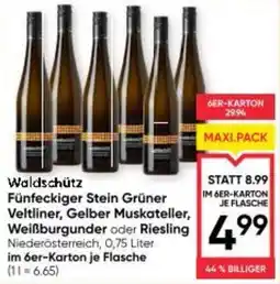 Maximarkt Waldschütz Fünfeckiger Stein Grüner Veltliner, Gelber Muskateller, Weißburgunder oder Riesling Angebot