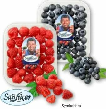 ADEG Himbeeren Angebot