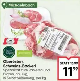 Maximarkt Oberösterr Schweins-Backerl Angebot