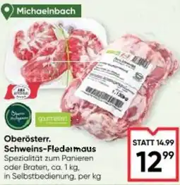 Maximarkt Oberösterr Schweins-Fledermaus Angebot