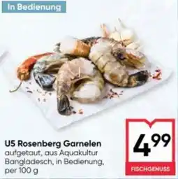 Maximarkt U5 Rosenberg Garnelen Angebot