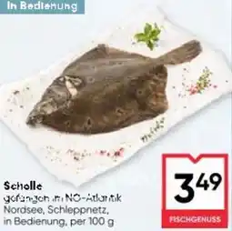 Maximarkt Scholle Angebot