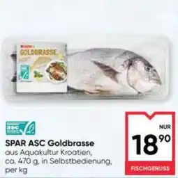 Maximarkt Spar asc goldbrasse Angebot