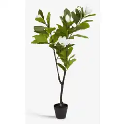 JYSK Kunstpflanze SPINDEL 6426038 JYSK Angebot