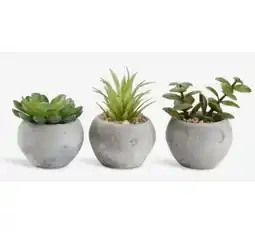 JYSK Kunstpflanze BROR div. Sorten 4911446 JYSK Angebot