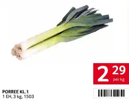 Transgourmet Porree kl.1 Angebot