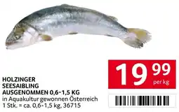 Transgourmet Holzinger seesaibling ausgenommen Angebot